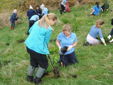 Volunteers tree planting