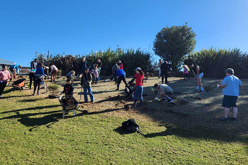 People planting trees