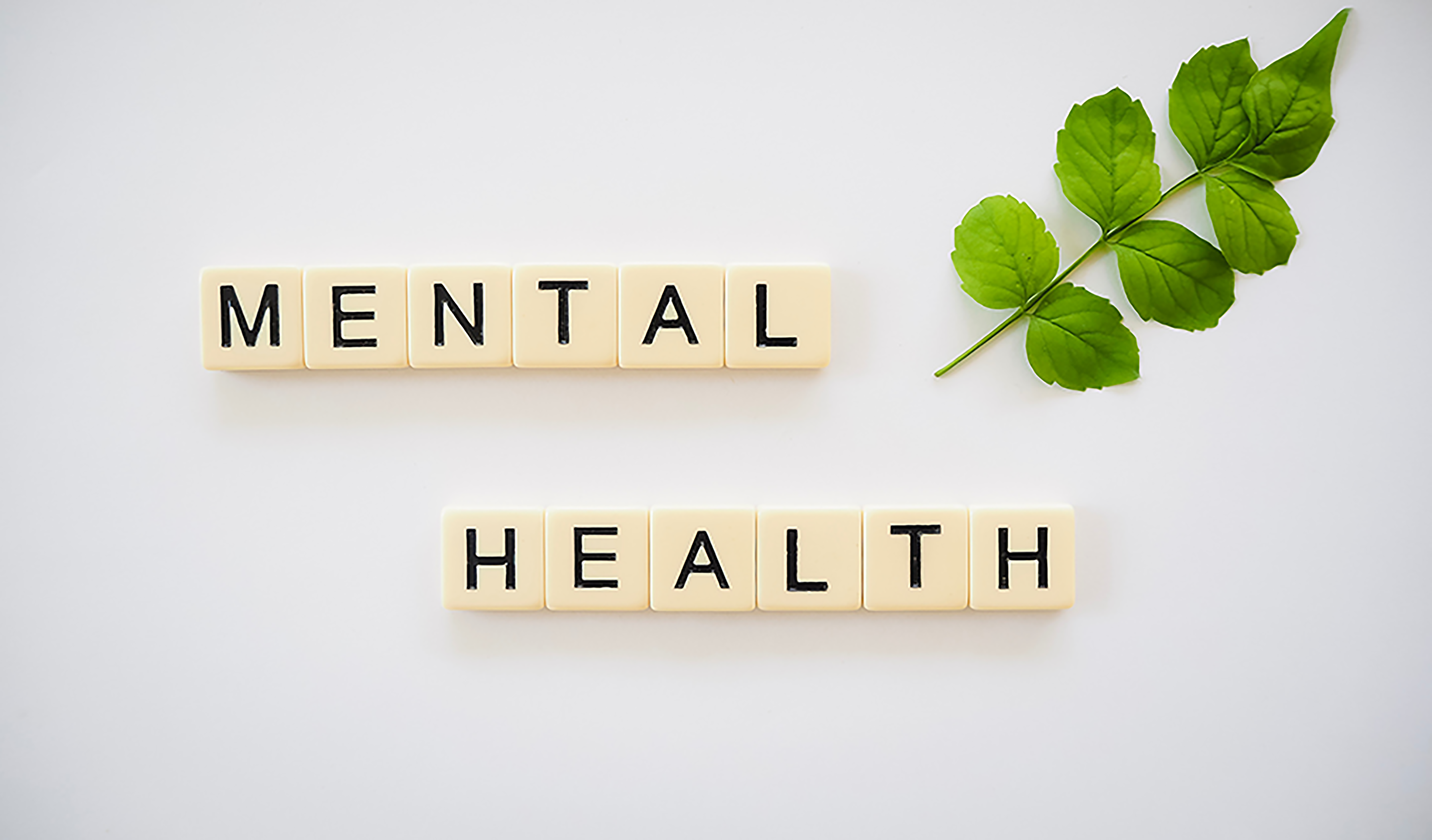 mental health blocks 