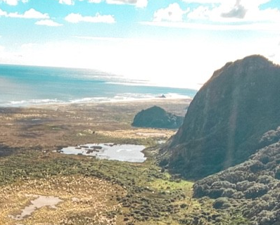 NZ Landscape