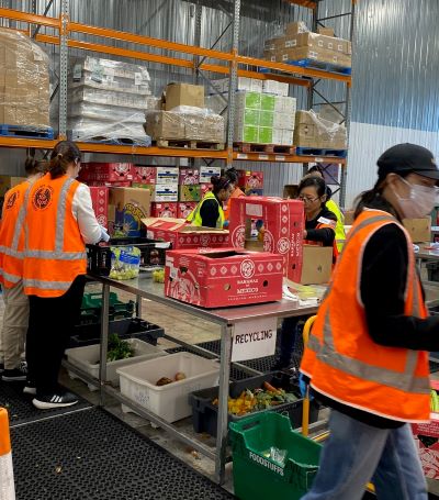 AUT students volunteering at Fair Food Rescue