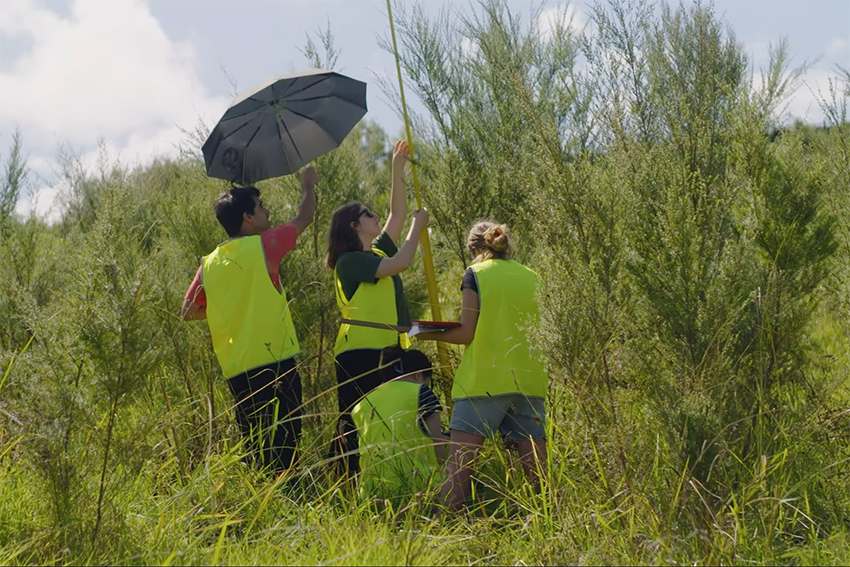 A screenshot from the video below that shows a group of three students measuring the height of a tree.