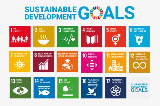 sustainable goals