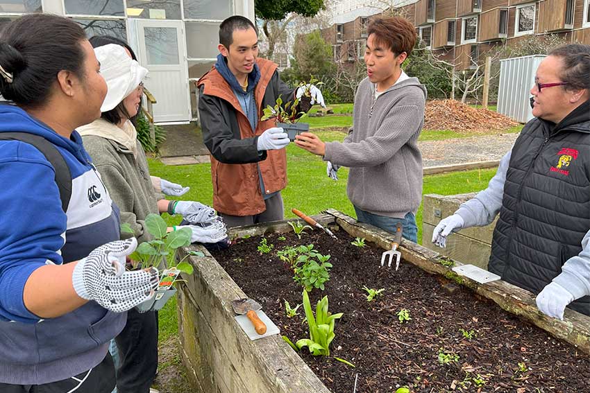 Planting plants