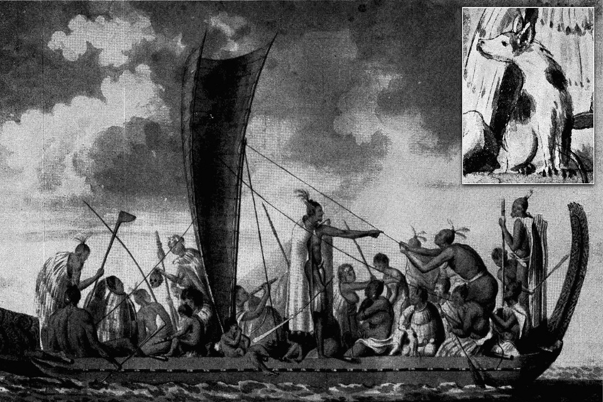 A historical drawing or painting of Māori in a waka. Inset is a sketch or drawing of a kurī.